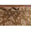 Tapis oriental brun 9 x 12