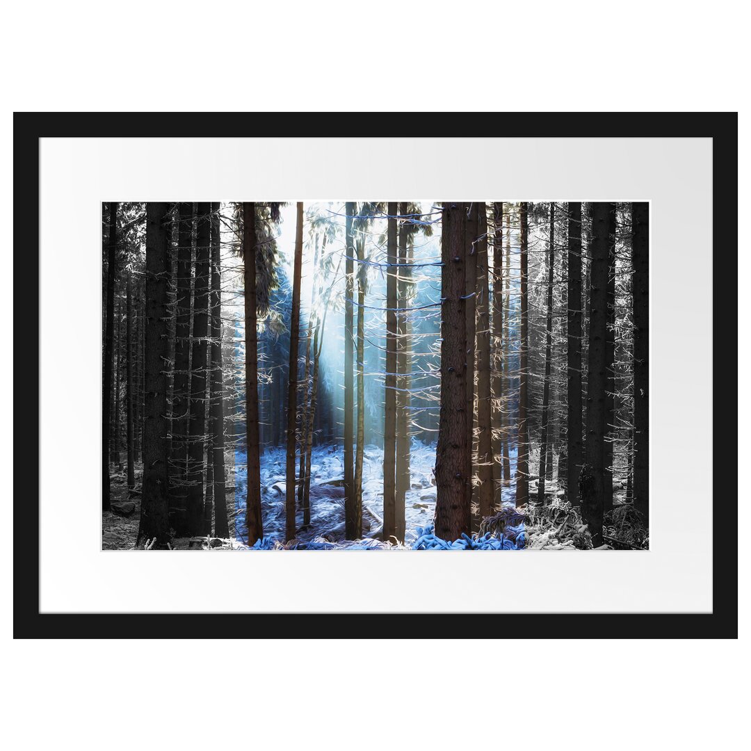 Gerahmtes Poster Sonne Winterwald