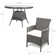 Dubose 4 Seater Dining Set with Cushions