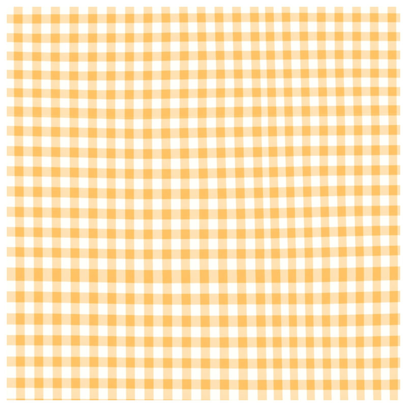 Coussins décoratifs à double face en vichy orange et blanc, 16 x 16 inches