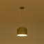 1 - Light Pendant