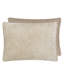 Cartouche Decorative Pillow-704875025
