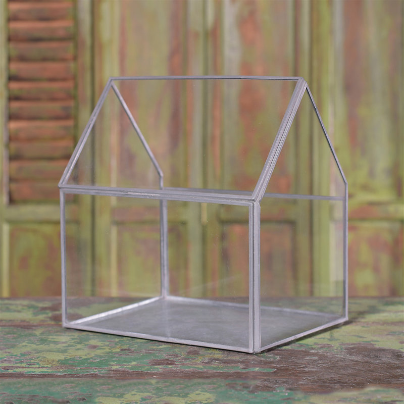 Terrarium en verre Jura, H 8,75 po x l 8,75 x P 8,75