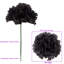 Pot de fleurs en soie-1087967434