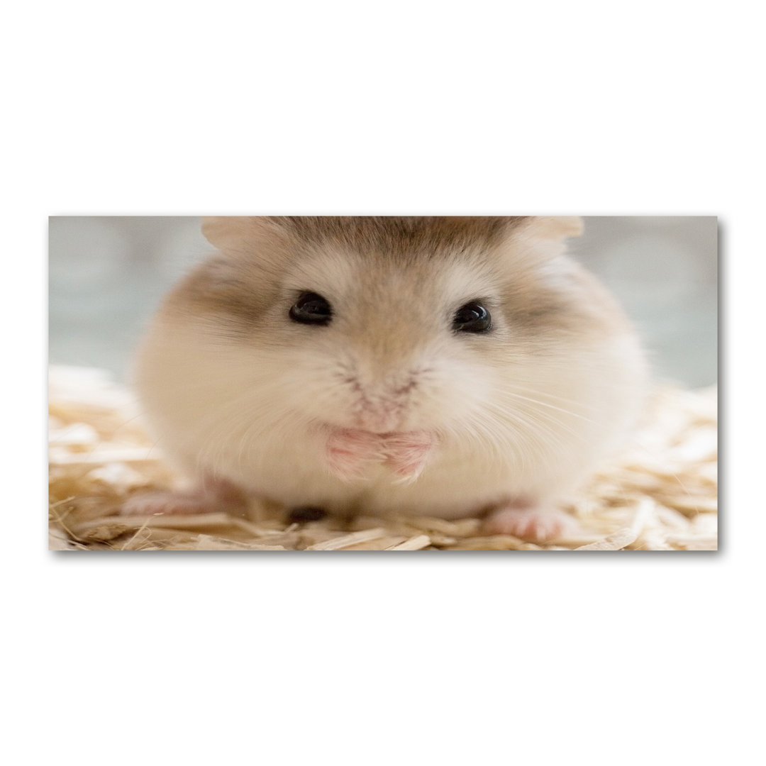 Hamster - Kunstdrucke auf Leinwand - Wrapped Canvas