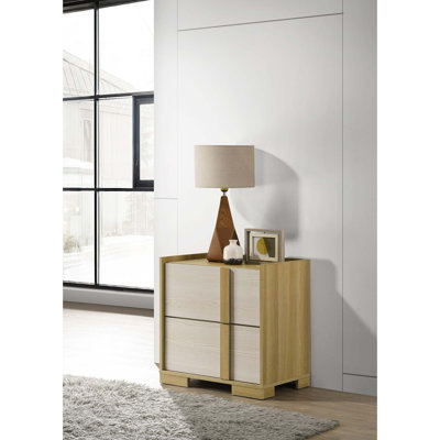 Modern 2-Drawer Wood Nightstand with Storage