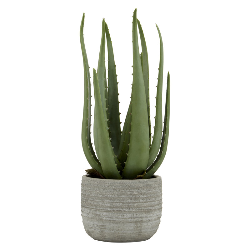 Keomi 47cm Succulent in Ceramic Pot