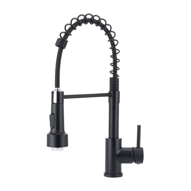 Belfry Kitchen Pull Out Kitchen Faucet, Black