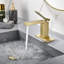 Robinet de lavabo de salle de bain monocorps et monocommande en laiton massif 6 "avec drain-113607981-123430014