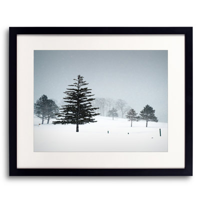 Valentines Day Snow Print by Tom Kostes