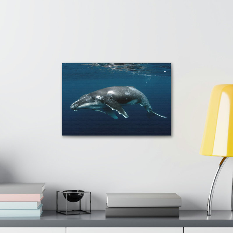 No Frame Print on Canvas, 30.48cm H x 40.64cm W