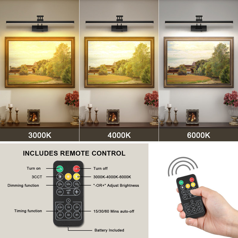 Lampe pour tableau DEL 23,6 po avec télécommande, intensité variable, plusieurs couleurs, rotation et minuterie, Noir mat