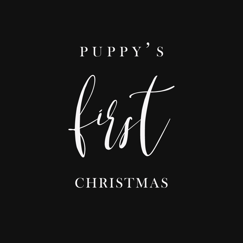 Holiday Sayings 4 - Wrapped Canvas Print, 122cm H x 122cm W x 3.8cm D