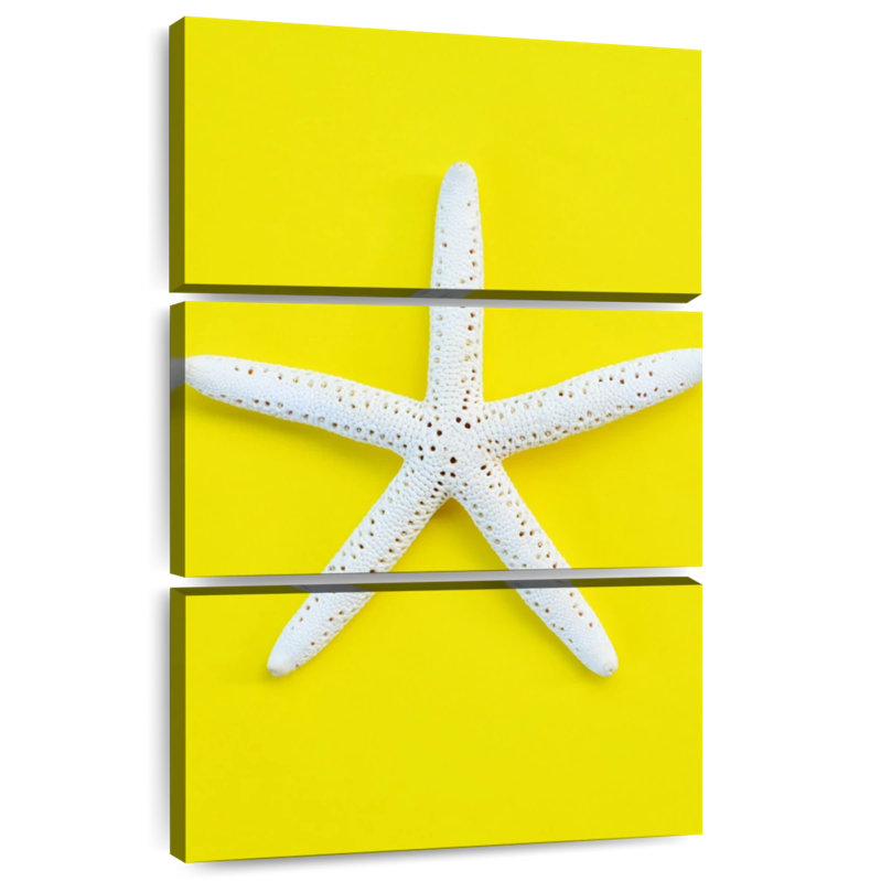 Brampt White Sea Star, 45" H x 28" W