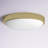 Mila Glass LED Flush Mount-93850937-52412148