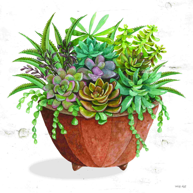 Terre cuite succulentes I, H 12 po x l 12 po