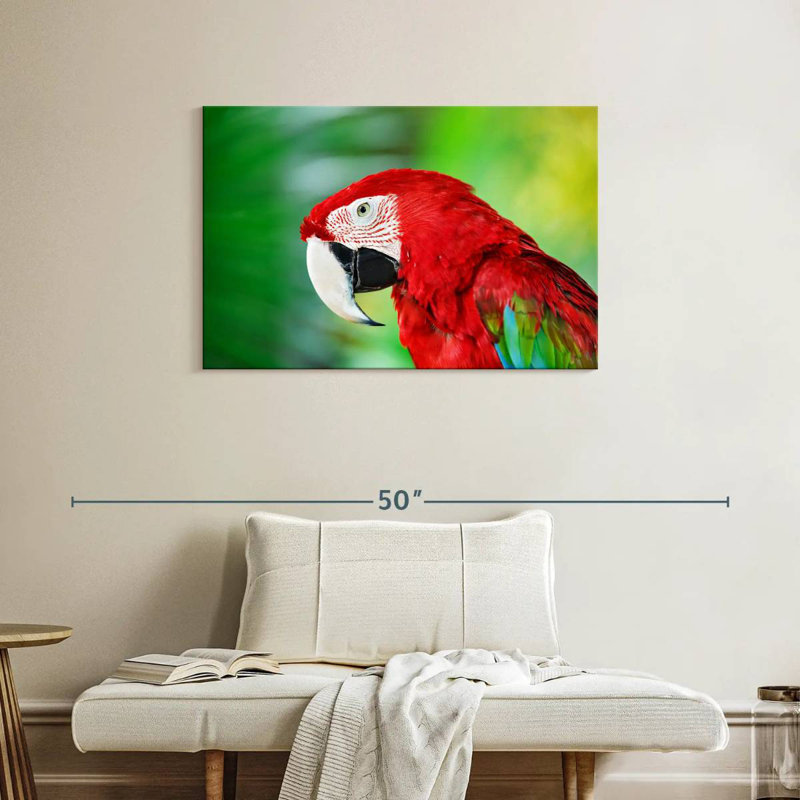 Brampt Jungle Scarlet Macaw, 24" H x 36" W