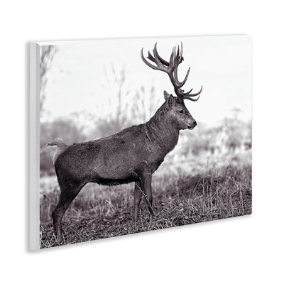 «Elk in Peaceful Forest», art mural par Jasper Huish