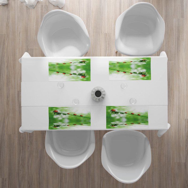 Récapitulatif 18,5" coccinelles