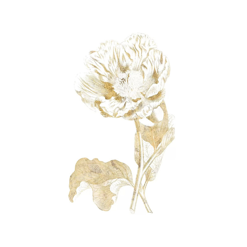 Gilded Botanical VII by Wild Apple Portfolio - Wrapped Canvas Painting, 66.04 cm H x 45.72 cm W x 3.175 cm D