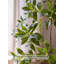 Ornement décoratif d'intérieur et d'extérieur de verdure artificielle minimaliste Pieris Japonica