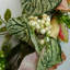 Faux 60cm Wreath