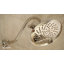 Pomme de douche fixe multifonctionnelle avec immersion Isabel-164472001
