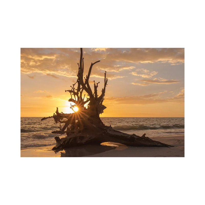 Sunset At Lovers Key State Park, Florida by Maresa Pryor - Wrapped Canvas Gallery-Wrapped Canvas Giclée
