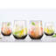 Nyshea 450 ml Drinking Glass Set