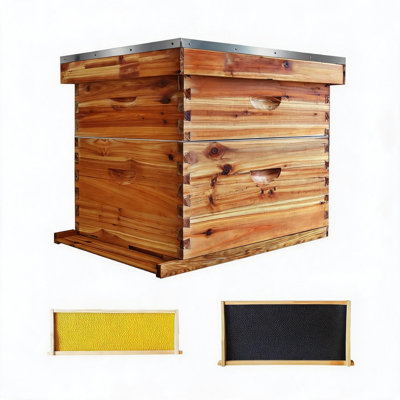 Ensemble complet de démarrage apicole 10 cadres - ruche Langstroth en sapin massif avec revêtement de cire d'abeille, boîte à couvée profonde et super moyen