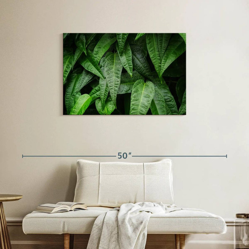 Harnek feuilles de plantes fraîches, H 24 po x l 36 po