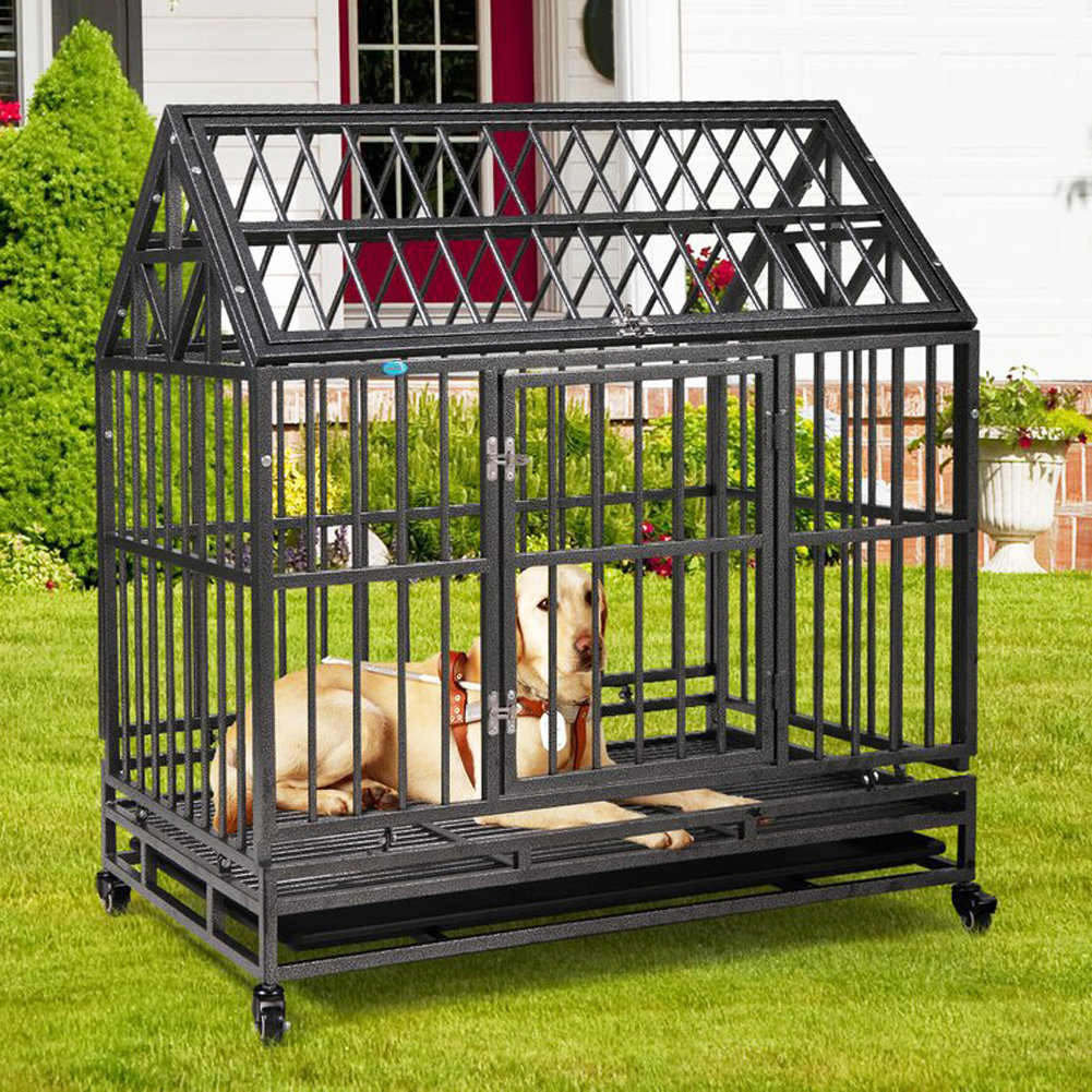 Panarciss Pet Crate Wayfair