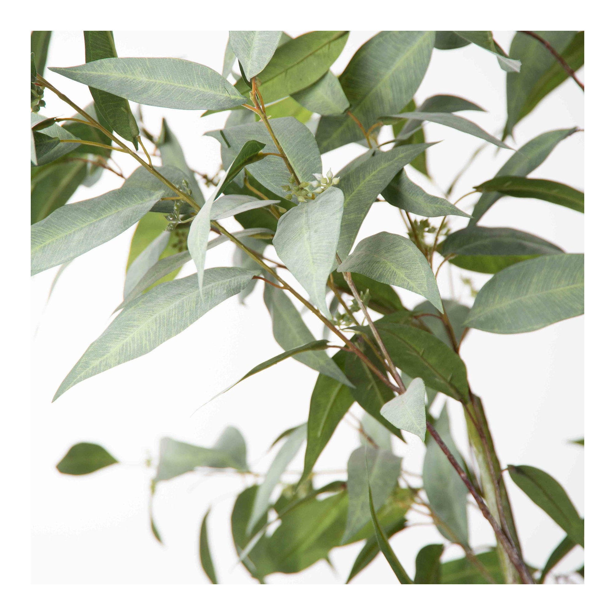 62'' Faux Eucalyptus Tree in Pot