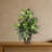Mixed Greens Silk Plant
