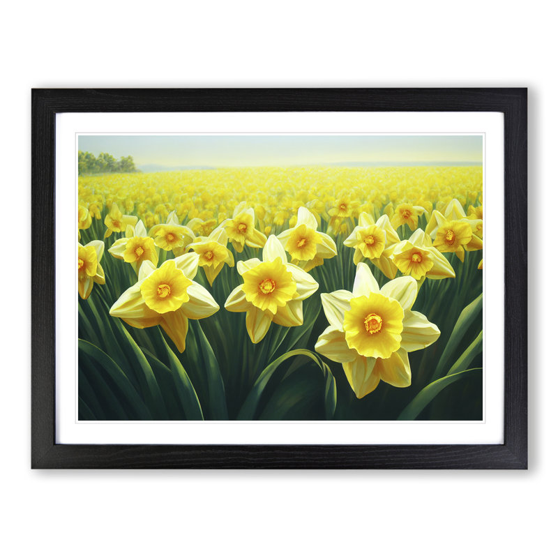 XH1022-9672X Virtuous Daffodil Flowers - Single Picture Frame Print, 34cm H x 46cm W, Black