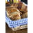 Wicker Display Tray Basket with Checked Lining-1781744844
