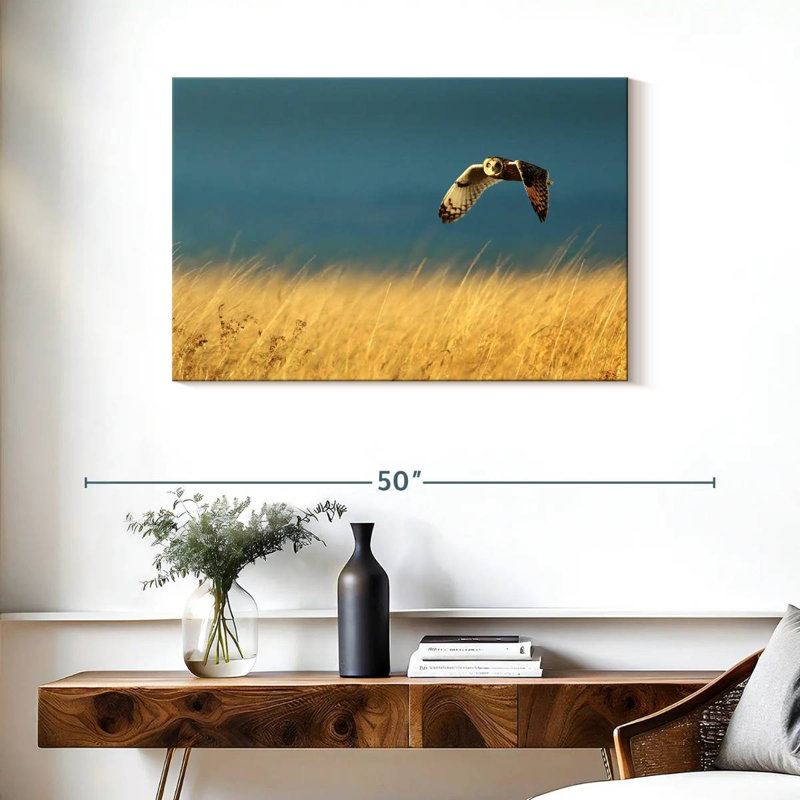 Owl In Flight, 24" H x 36" W
