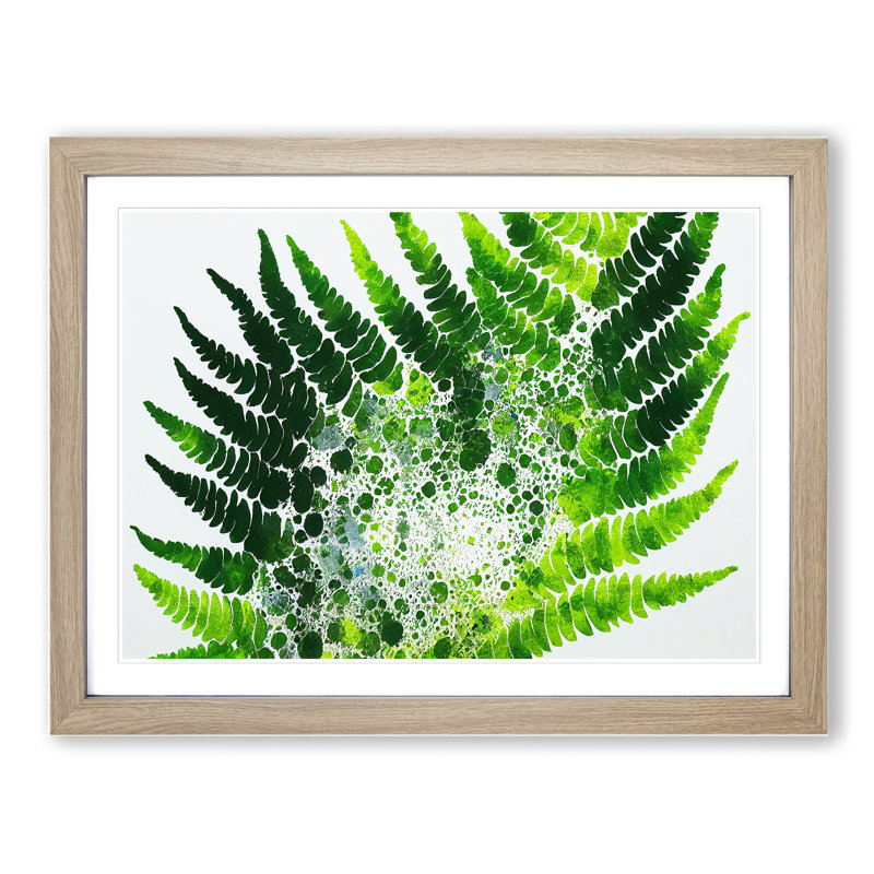 Fern Leaf Splash Vol.2 - Framed Print, 46cm H x 64cm W x 2cm D, Oak