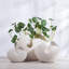 Adones Handmade Ceramic Table Vase