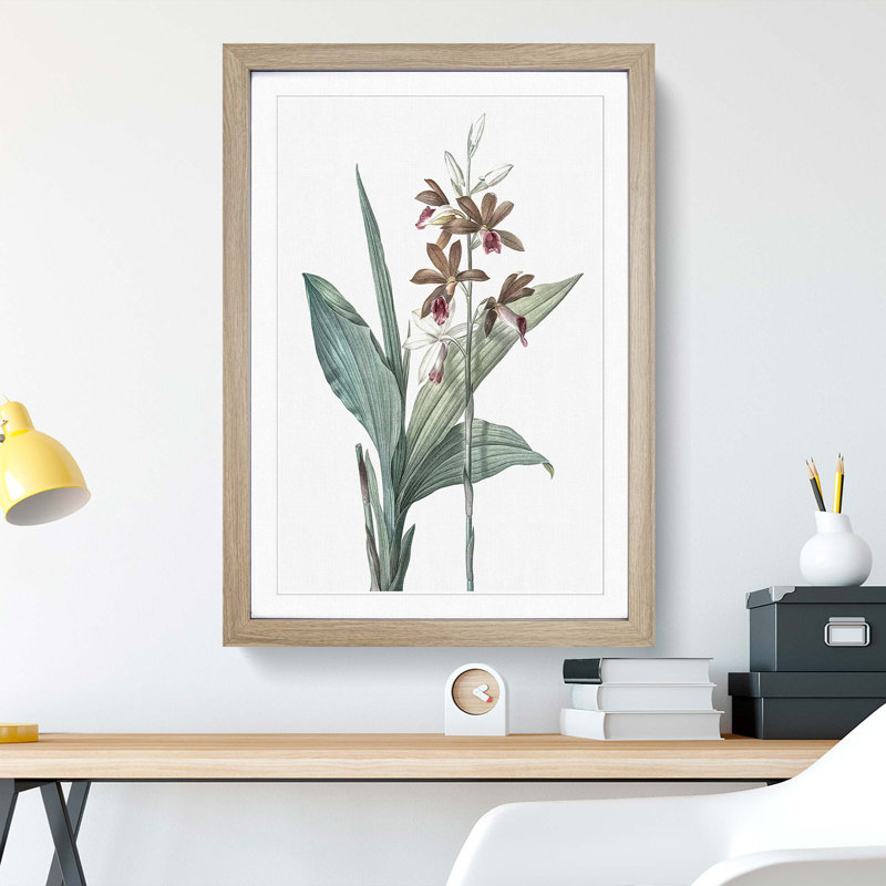 Limodorum Orchid Flowers by Pierre-Joseph Redoute - Picture Frame Painting Print, Oak Framed, 36cm H x 27cm W x 2cm D