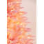 Arbre de Noël