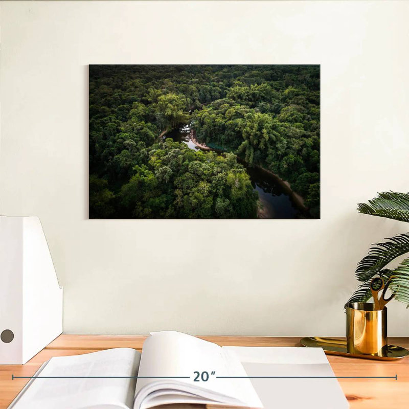 Atlantic Forest River, H 8 po x l 12 po