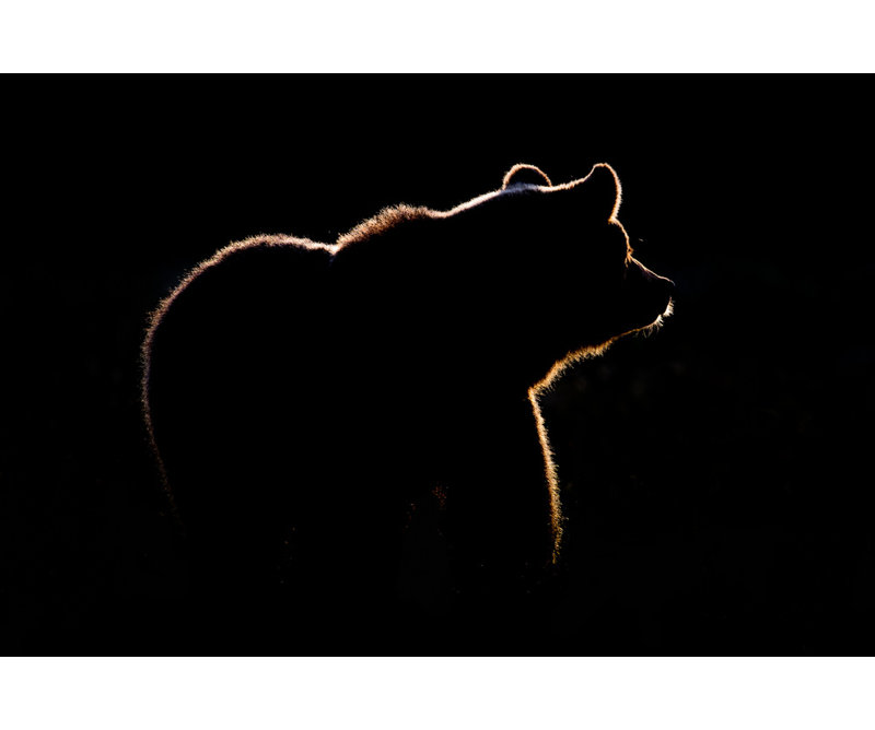 Wrapped Canvas Print, 50.8 cm H x 76.2 cm W