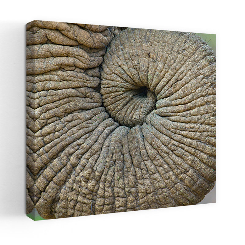 Print, 60.96cm H x 60.96cm W
