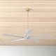 Adalai 5 Blade Ceiling Fan