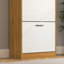 Versatile Shoe Storage Cabinet for Home Organization and Space Optimization-1416052704