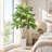 72in Artificial Dracaena Tree with White Planter