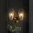 Beesley 2-light Brass Steel Armed Sconce