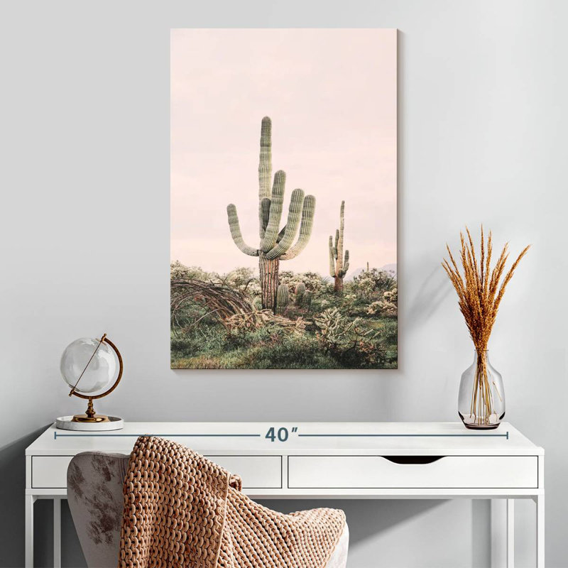 Cactus rosé et timide, H 30 po x l 20 po