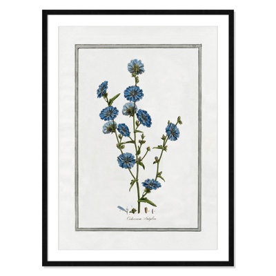 Colombe "Soft Botanical I" Print